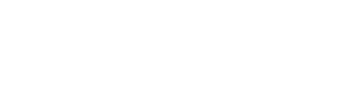 Danas Veículos